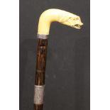 An early 20th century novelty walking stick, the faux-ivory handle as the head of an animal,