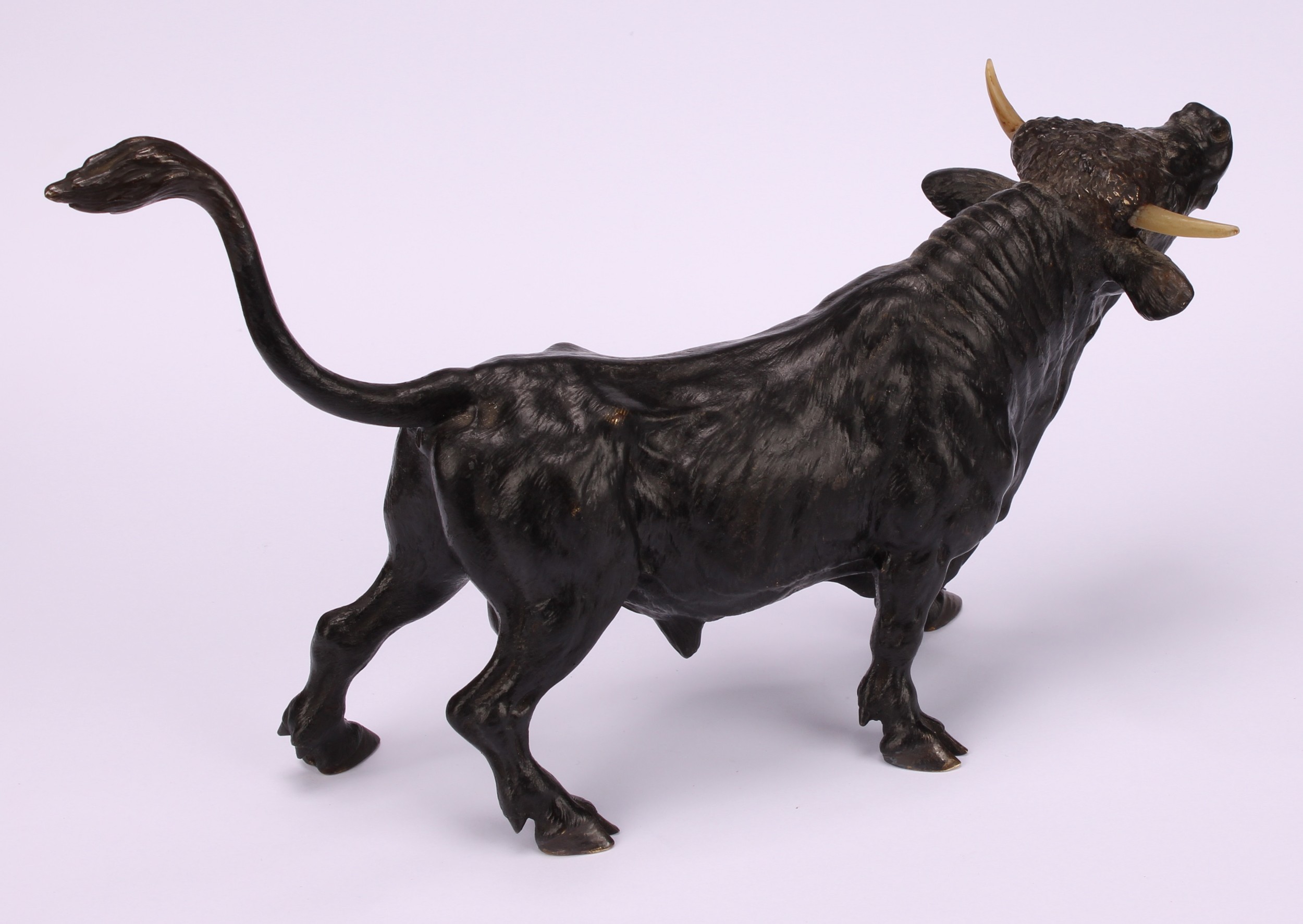 Austrian School, late 19th century, a cold painted bronze, of a bull, 26cm long - Image 4 of 4