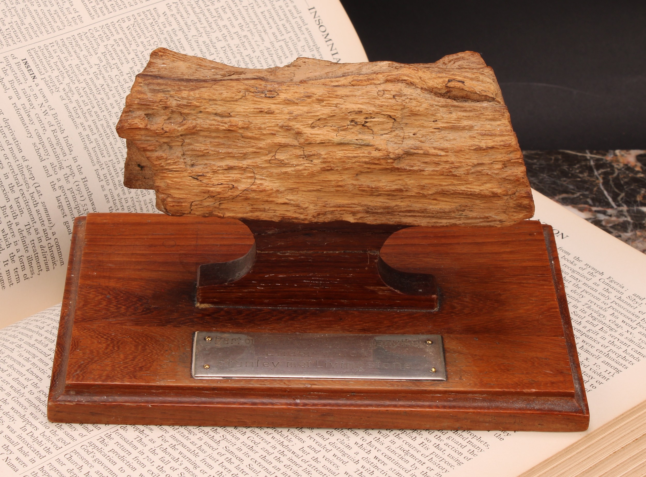 Exploration - Africa - Henry Morton Stanley and David Livingston - an African timber specimen,