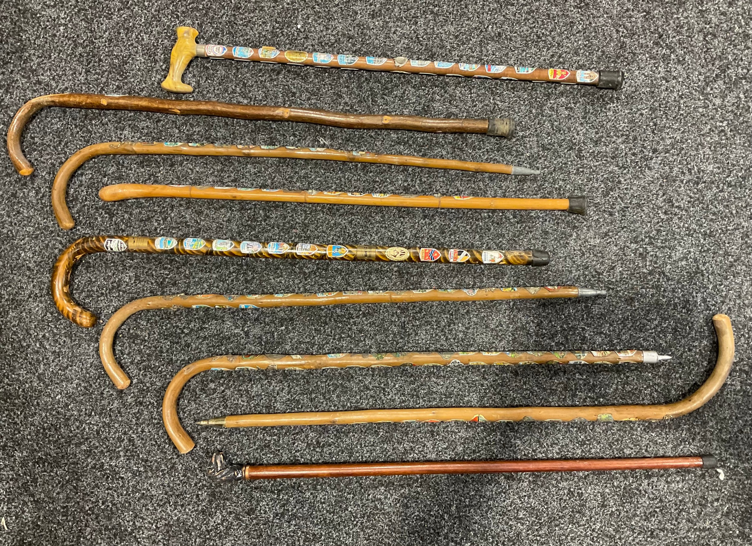 A collection of walking sticks, bronze dog head, etc (9)