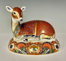 A Royal Crown Derby paperweight, Resting Doe, Collector's guild exclusive, gold stopper, 16cm