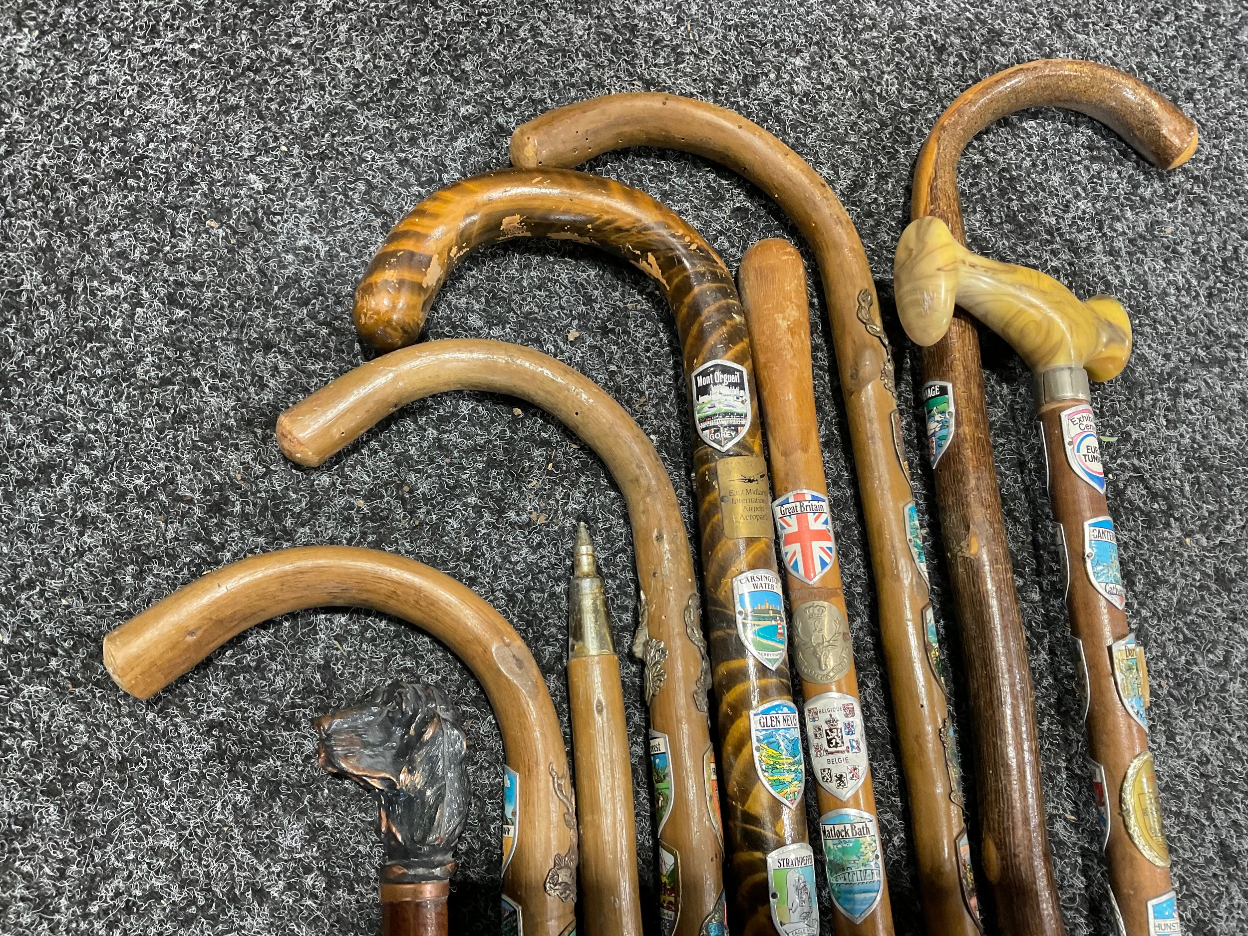 A collection of walking sticks, bronze dog head, etc (9) - Image 4 of 4