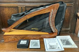 22 string harp including sheet music and dvd