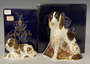 An associated pair of Royal Crown Derby paperweights, Molly and Scruff Puppy, exclusive to the Royal