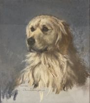 Sam Morse Brown (1903 - 2001) Tango, Golden Retriever signed, dated 1962, pastel, 36cm x 31.5cm