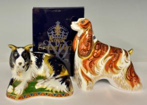 A Royal Crown Derby paperweight, Border Collie, this is number 348 of a gold backstamp limited