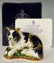 A Royal Crown Derby paperweight, Border Collie, gold backstamp limited edition 81/2,500, signed in