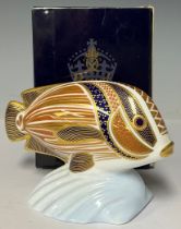 A Royal Crown Derby paperweight, Tropical Fish, Sweetlips, gold stopper, boxed