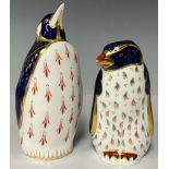 A Royal Crown Derby paperweight, Rockhopper Penguin, 21st year anniversary edition with special