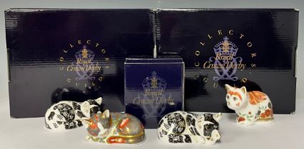 A Royal Crown Derby paperweight, Catnip Kitten, Collector's Guild exclusive, gold stopper, boxed;