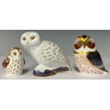 A Royal Crown Derby paperweight, Snowy Owl, Collectors Guild exclusive; others, Owlet, Collectors