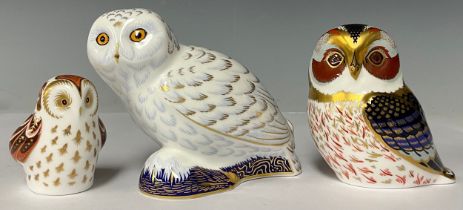 A Royal Crown Derby paperweight, Snowy Owl, Collectors Guild exclusive; others, Owlet, Collectors