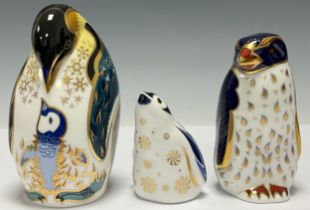 A Royal Crown Derby paperweight, Rockhopper Penguin, 21st year anniversary edition with special