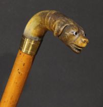 A 19th century novelty walking stick, the horn handle carved as the head of a dog, malacca cane,