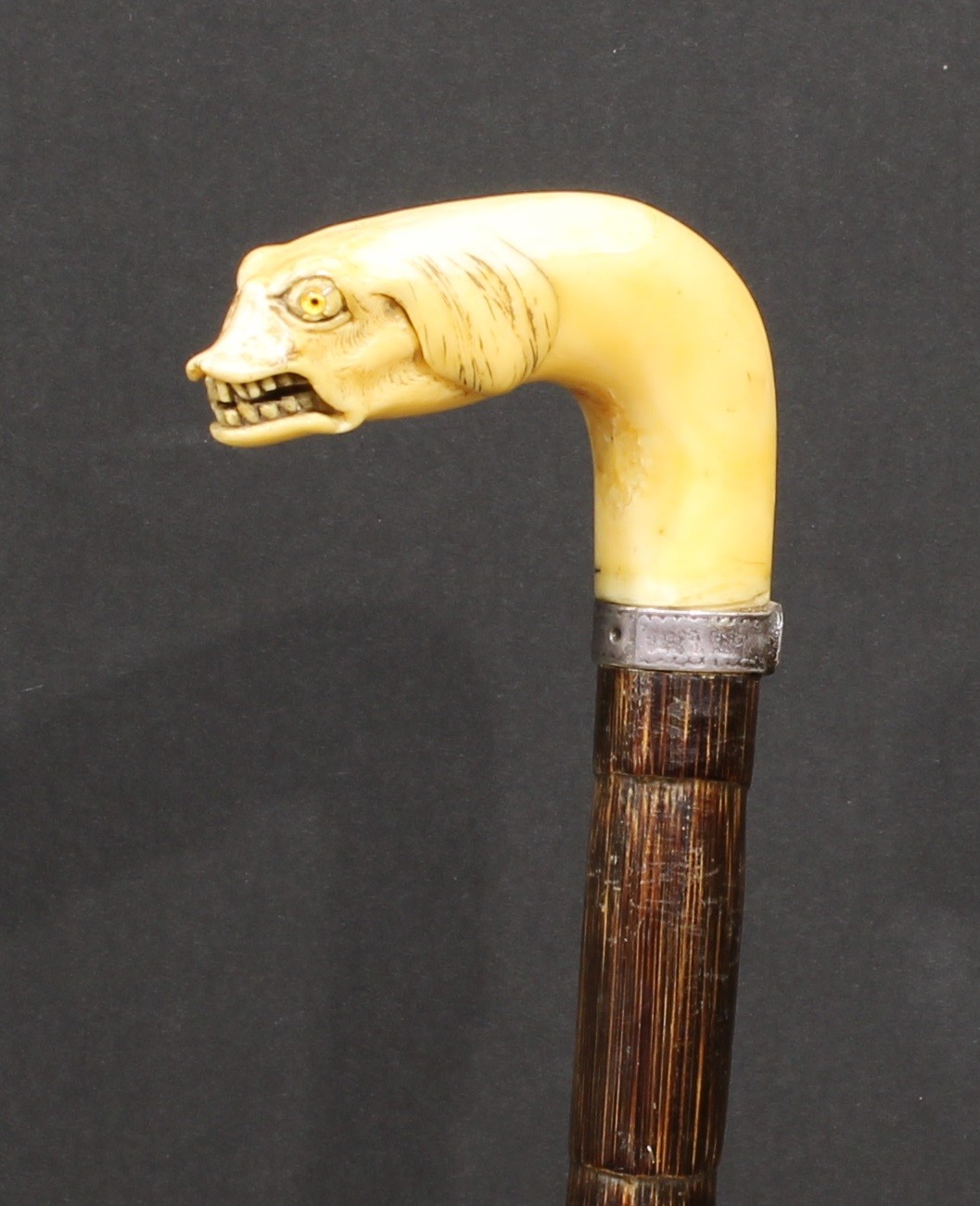 An early 20th century novelty walking stick, the faux-ivory handle as the head of an animal, - Image 2 of 3