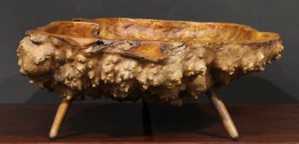 A large burr elm table centre bowl, of natural irregular shape, outswept legs, 62cm wide