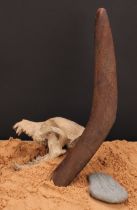 Australian Aboriginal Boomerang with geometric marks and depictions of Emu's, Leaves and