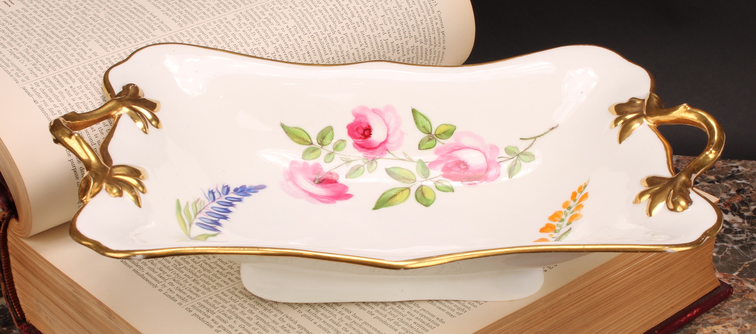 A rare Swansea botanical shaped rectangular two-handled dessert dish, painted by Thomas Pardoe, with
