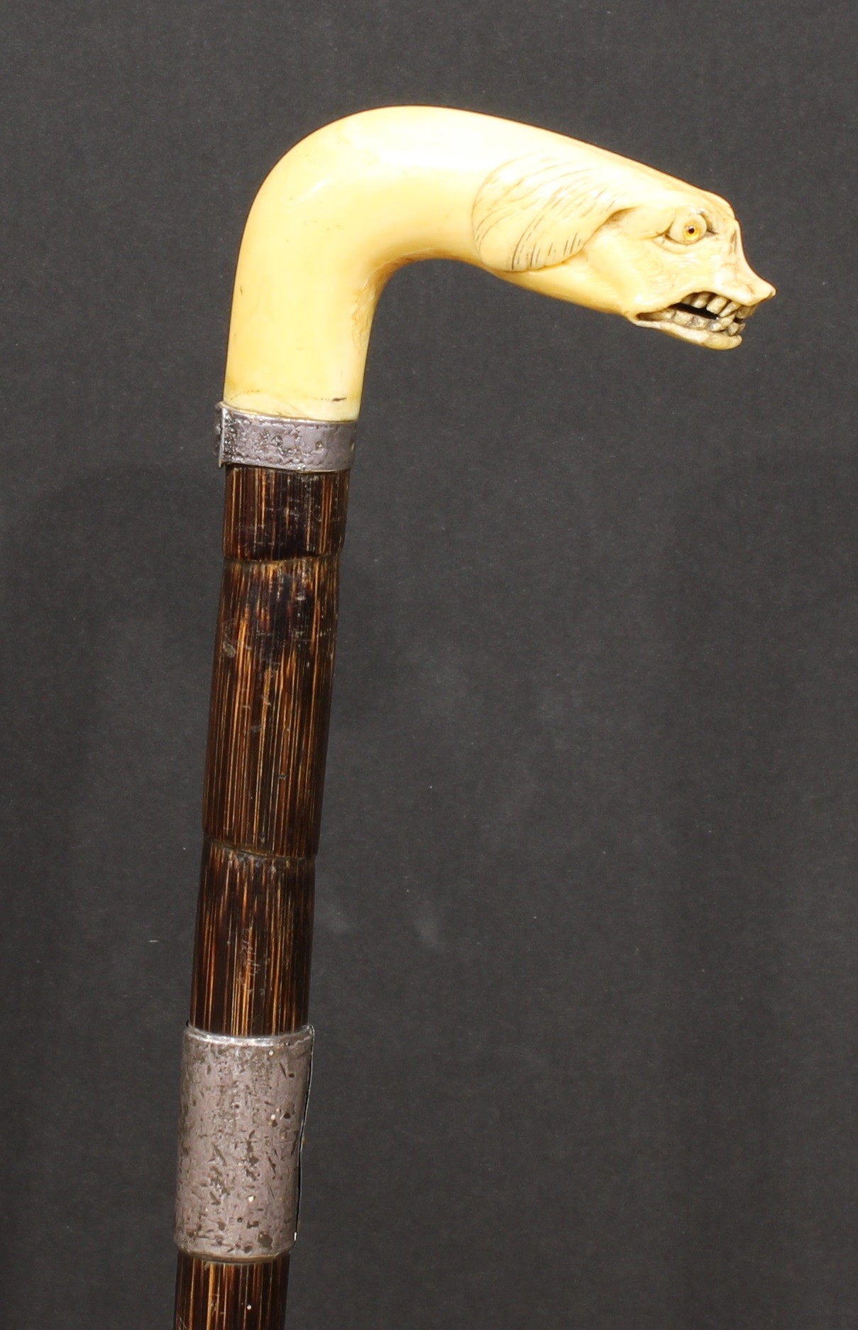 An early 20th century novelty walking stick, the faux-ivory handle as the head of an animal,