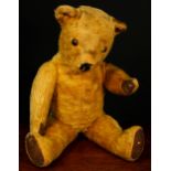 A 1950's Pedigree golden mohair jointed teddy bear, amber and black plastic eyes, remnants of