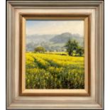 Rex N Preston (Bn. 1948) Field of Yellow signed, oil on canvas, 33.5cm x 28.5cm