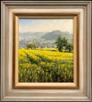 Rex N Preston (Bn. 1948) Field of Yellow signed, oil on canvas, 33.5cm x 28.5cm