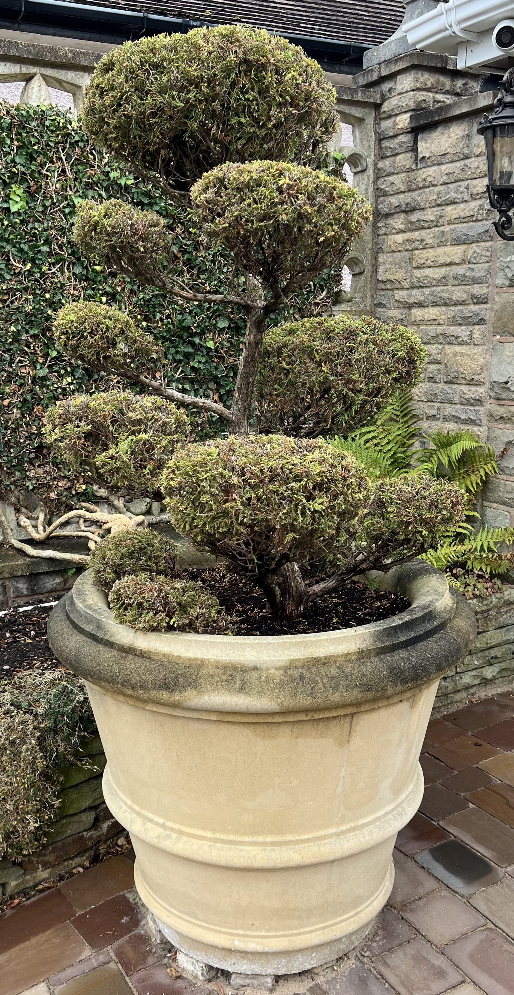 A large David Sharpe tapered cylindrical garden vase, with central girdle and moulded rim, planted