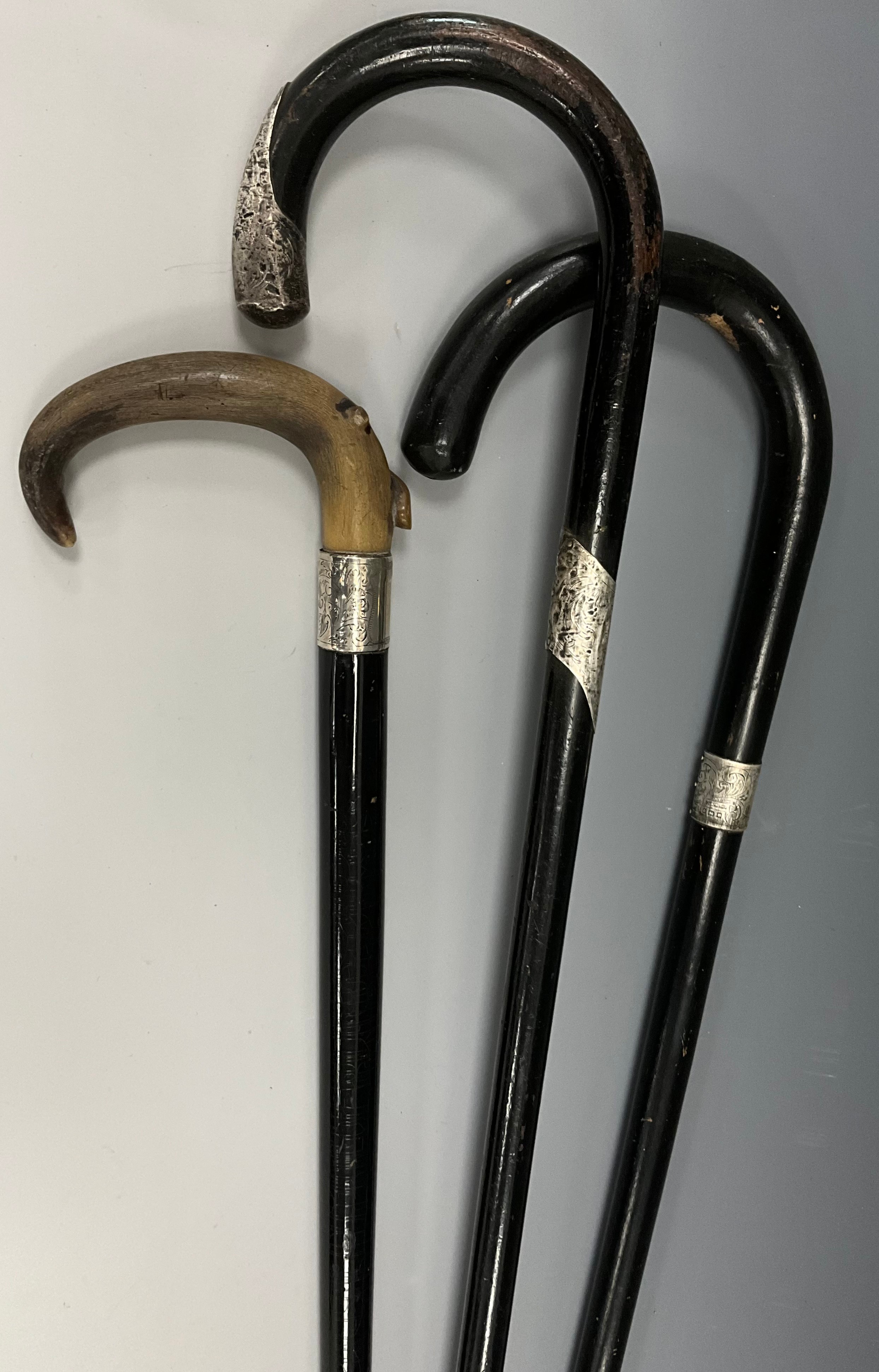 An early 20th century walking stick, curved horn handle, silver metal collar engraved with foliate