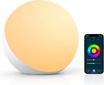 RRP £24.99 Hifree Smart Table Lamp, Dimmable Desk Lamp with App/Voice Control, LED RGB Color