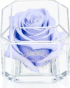 RRP £23.99 A 100% Real Rose That Lasts Years - Eternal Petals, Handmade in UK – White Gold Solo in