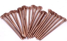 RRP £100, Set of 10 x Copper Tree Stump Killer/Solid Copper Clout Nails - Very Large Sizes Available