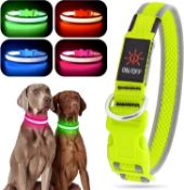 RRP £60 Set of 5 x Light up Dog Collar, USB Rechargeable LED Dog Collar, Adjustable Flashing Dog