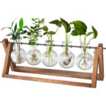 RRP £18.99 cfmour Plant Terrarium with Wooden Stand, Desktop Propagation Stations Glass Air