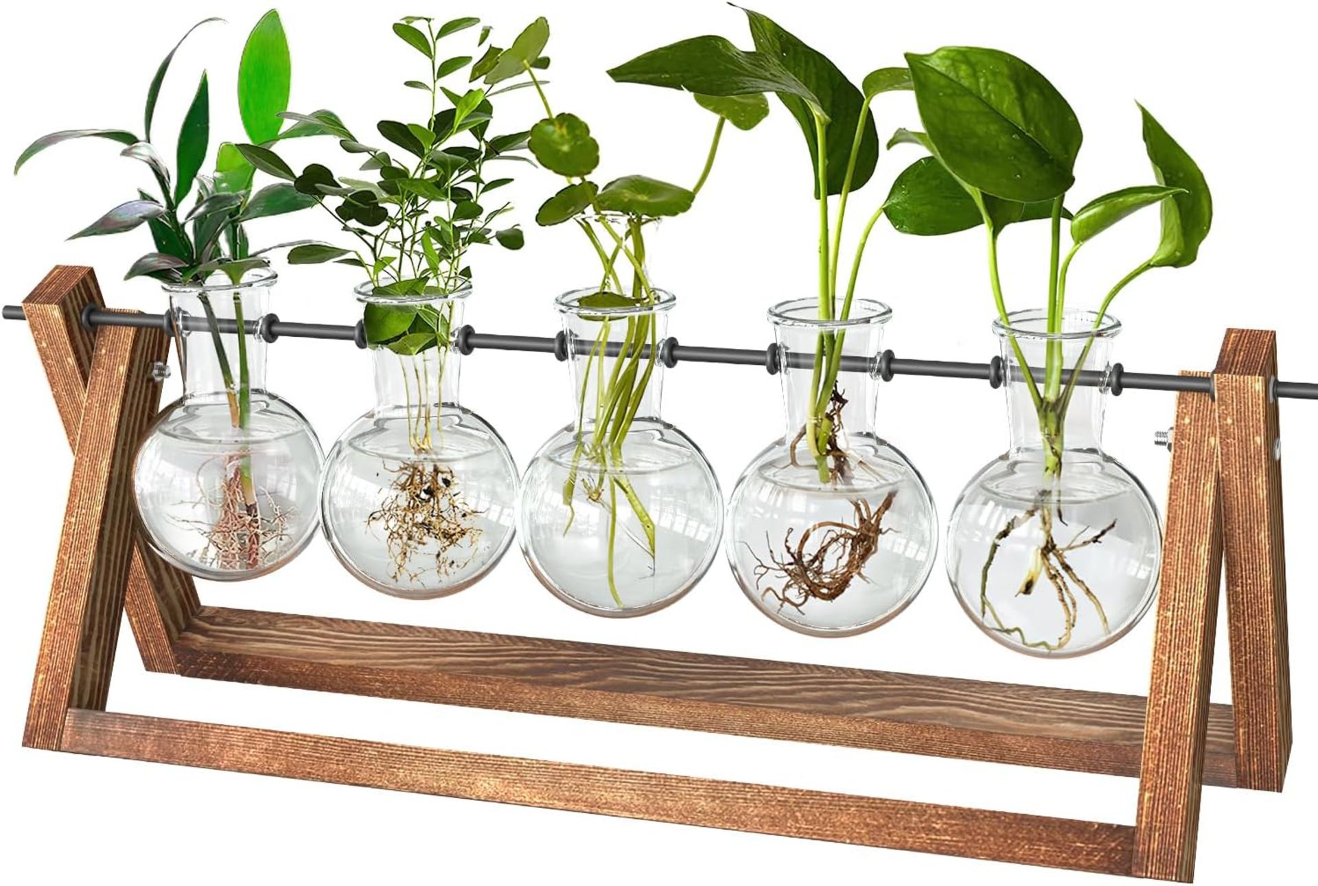 RRP £18.99 cfmour Plant Terrarium with Wooden Stand, Desktop Propagation Stations Glass Air