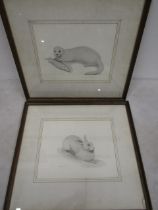 2 ltd edition prints of and otter and brown hare 37x33cm