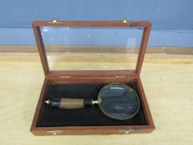 Magnifying glass in display case