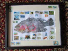 Fish print surrounded by fish themed stamps from around the world, framed and glazed 43cm x 53cm