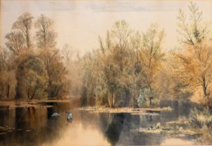 Edward John Duval (British, fl.1876-1916): woodland landscape with swans on a river, watercolour