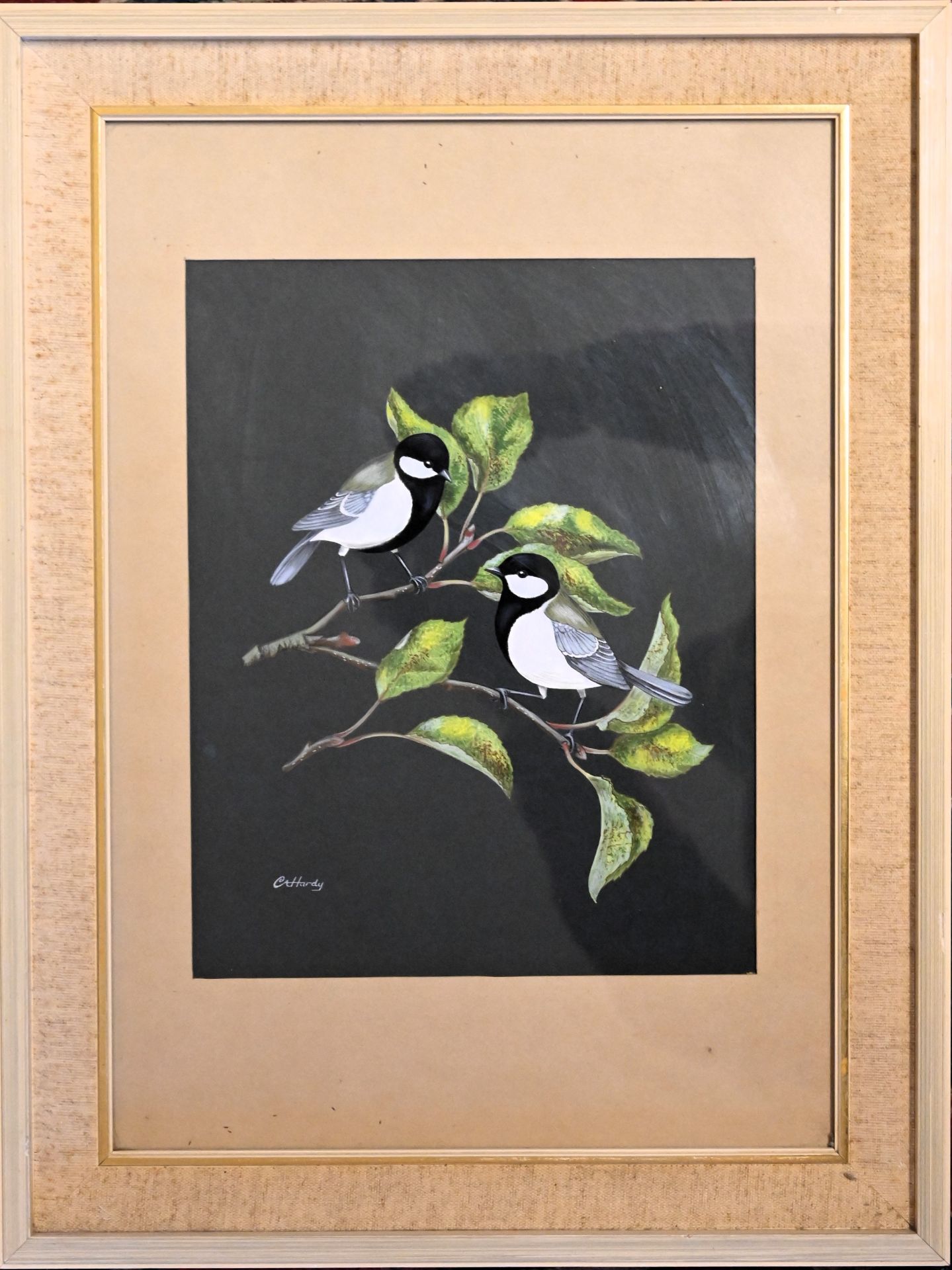 C A Hardy, watercolour study of Coal Tits, framed and glazed - Image 3 of 3