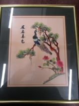 Japanese signed Peacock embroidery 40x34cm