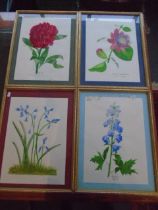 4 framed and glazed watercolours of flowers - Paeony, Bluebells, Delphinium and Passiflora all by