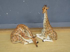 2 Large USSR Giraffe figurines. Tallest H30cm approx