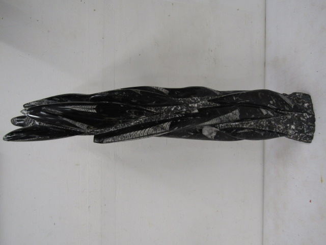 Orthoceras fossil tower 63cmH