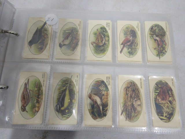 A large cigarette card collection to include many full sets dating back to the early 1920's to - Image 46 of 55
