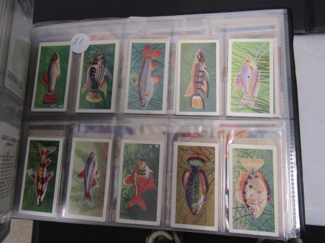 A large cigarette card collection to include many full sets dating back to the early 1920's to - Image 28 of 55