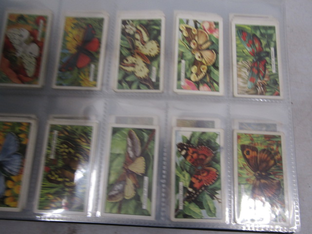 A large cigarette card collection to include many full sets dating back to the early 1920's to - Image 42 of 55