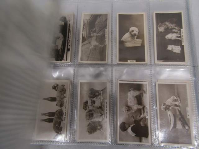 A large cigarette card collection to include many full sets dating back to the early 1920's to - Image 49 of 55