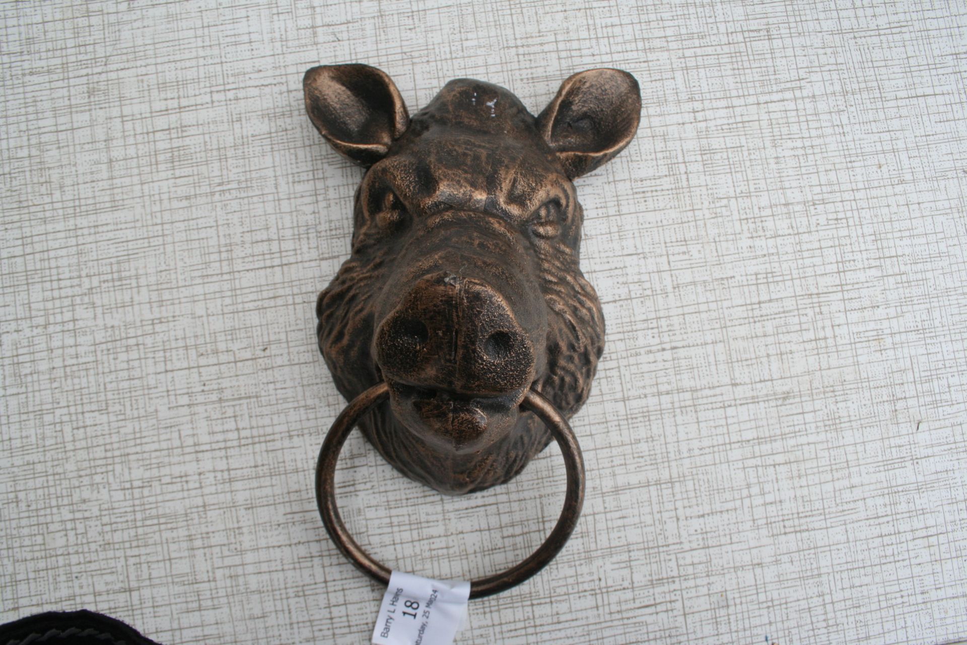 Boar head with metal ring