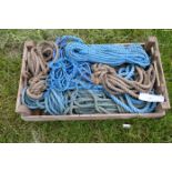 Tray of ropes