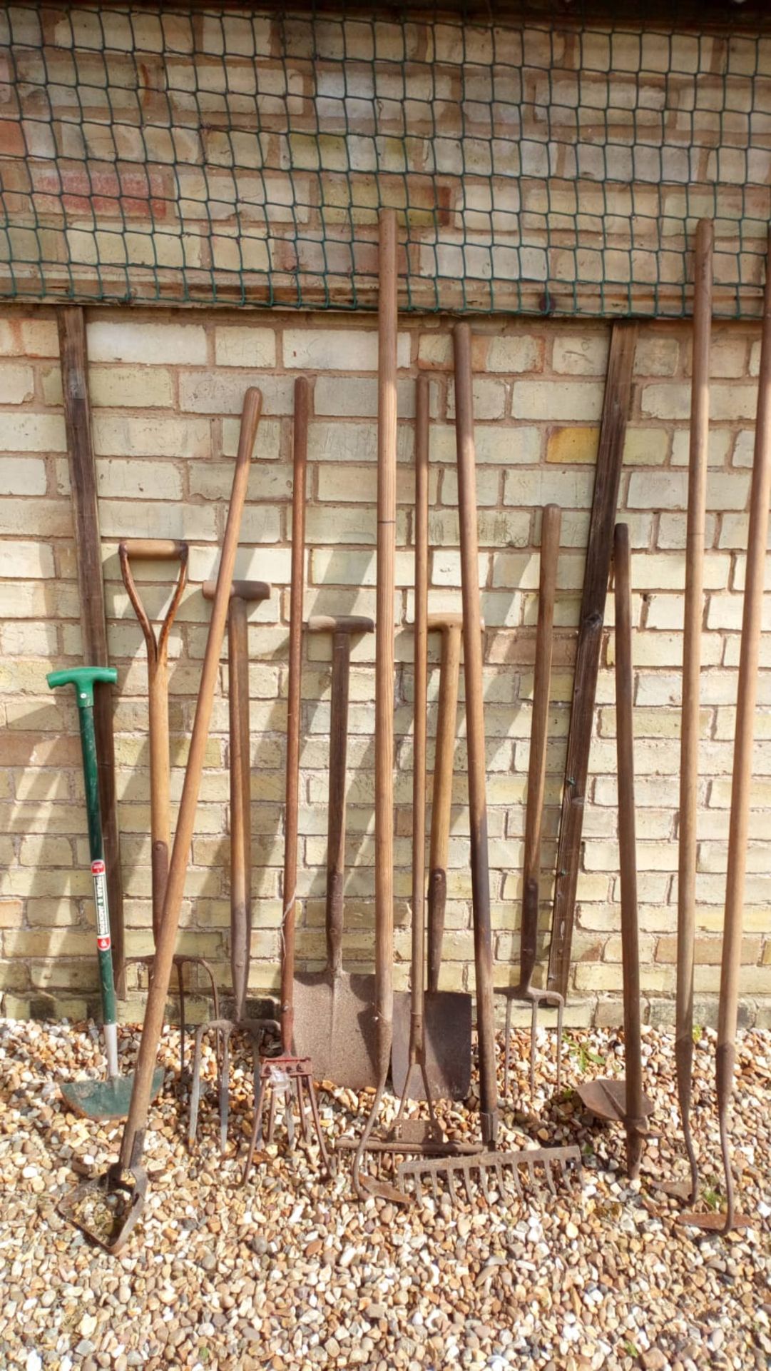 Collection of gardening tools